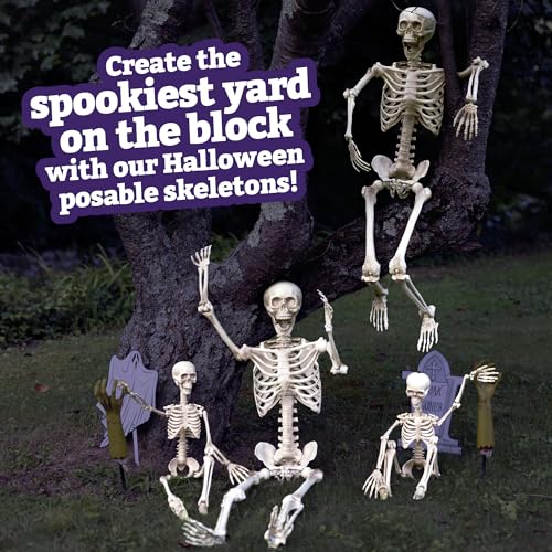 Life Size Posable Human Skeleton 4pk H1185