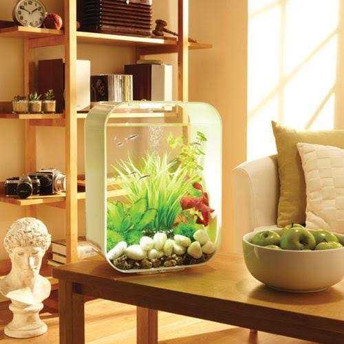 15 Aquarium with Standard Light D57860