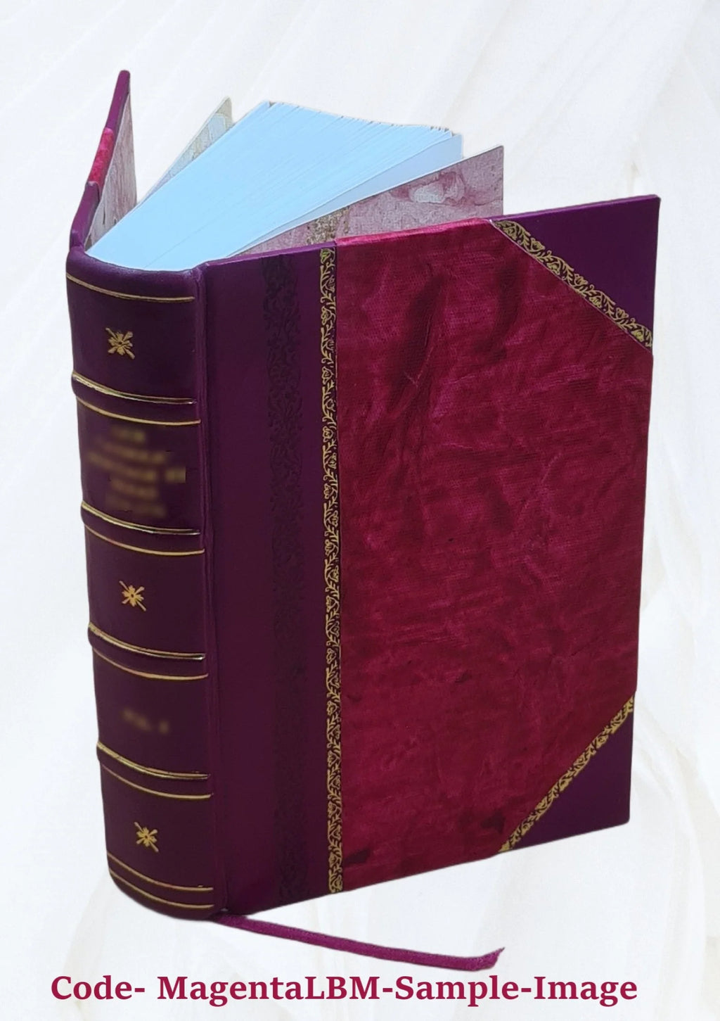 Leather Bound Book E5434