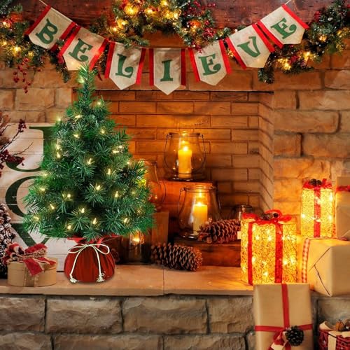 Mini Artificial Christmas Tree 22 Inch with 35 Warm White Lights Y1971