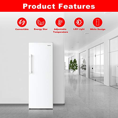 Convertible Freezer/Fridge C301