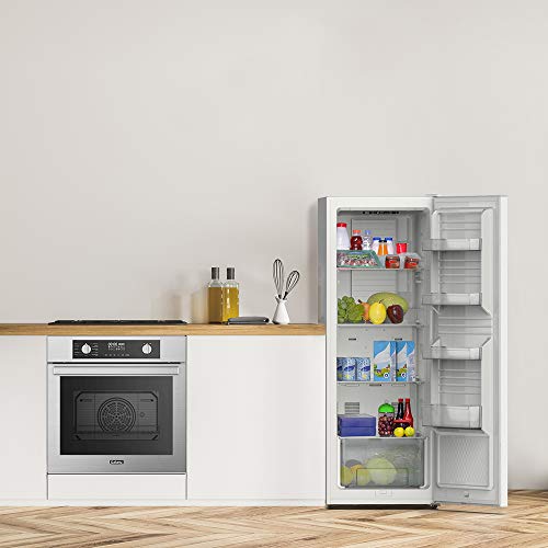 Convertible Freezer/Fridge C301