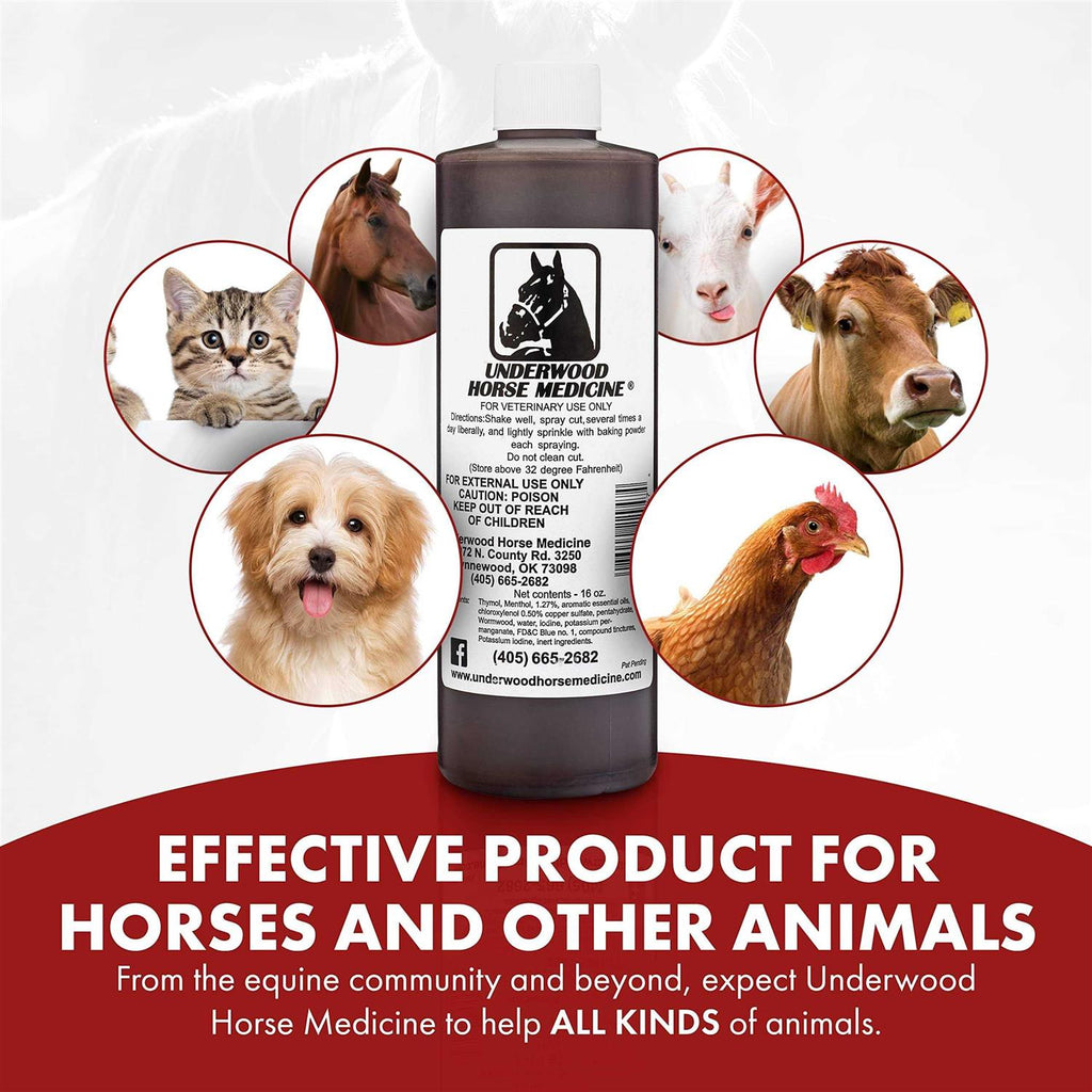 Horse Medicine Topical 16oz V520627