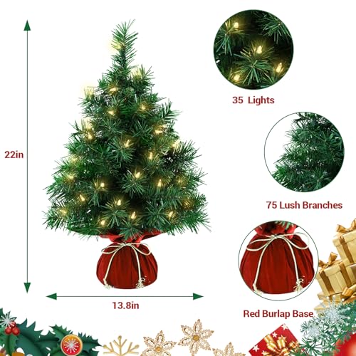 Mini Artificial Christmas Tree 22 Inch with 35 Warm White Lights Y1971