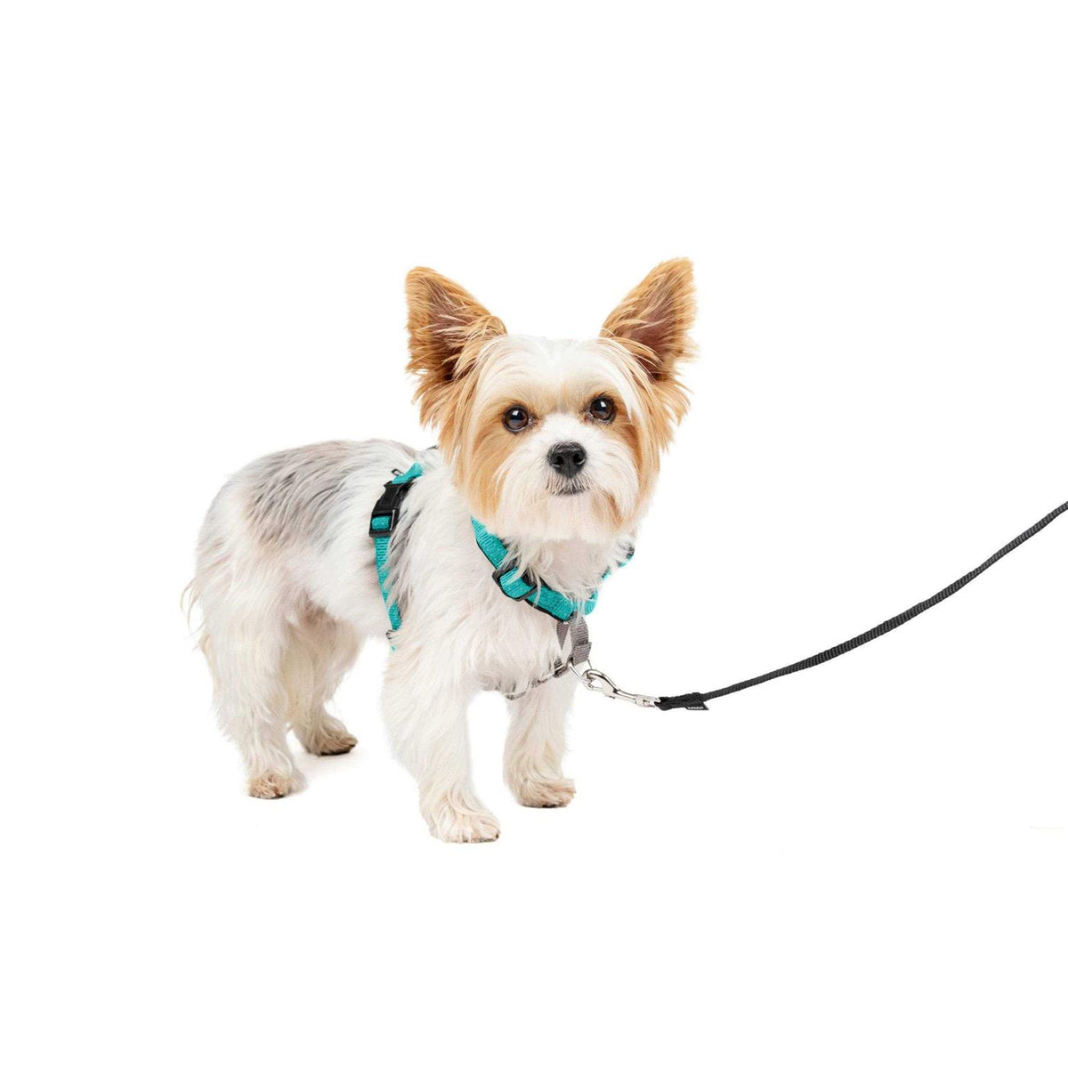 3 in 1 Harness W40011