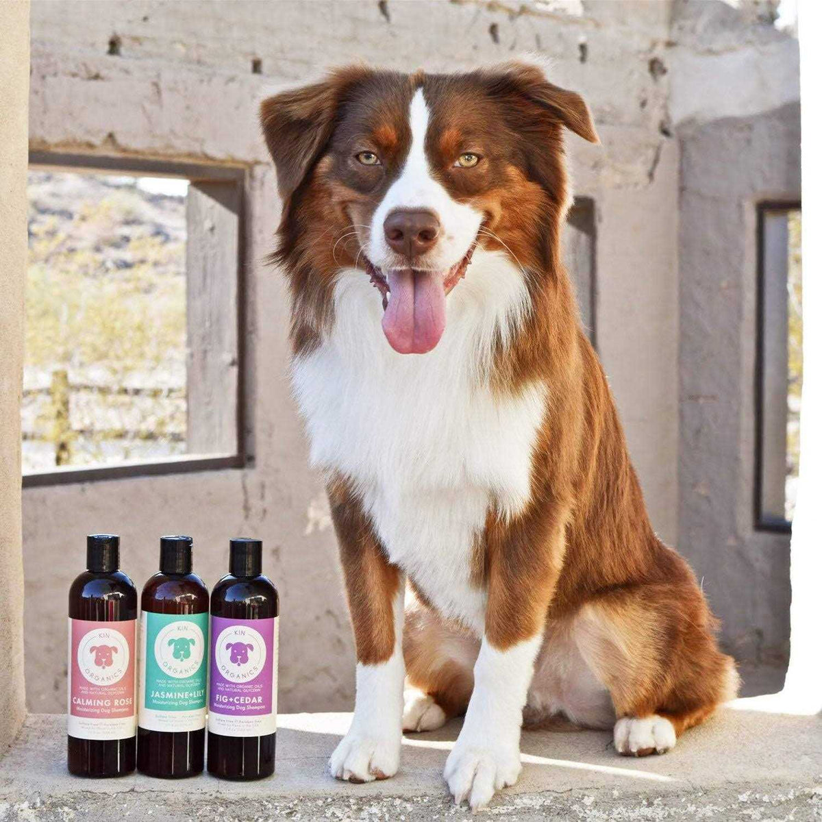 Jasmine & Lily Dog Shampoo X8429