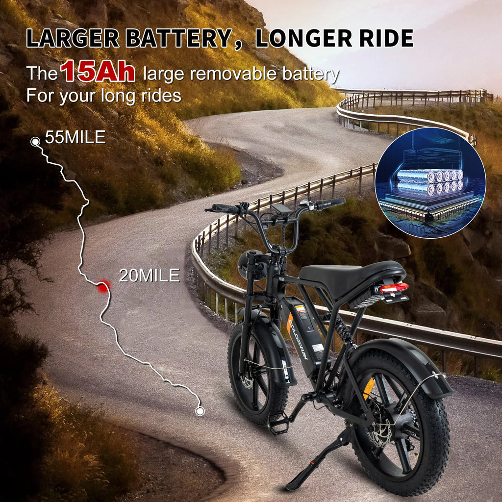 750W Electric Bike 20X4.0 Fat Tire 48V 15Ah Battery L175515