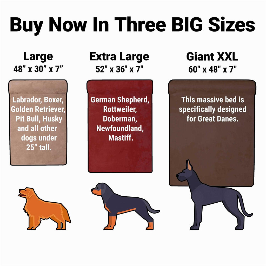 Orthopedic Dog Bed Q100