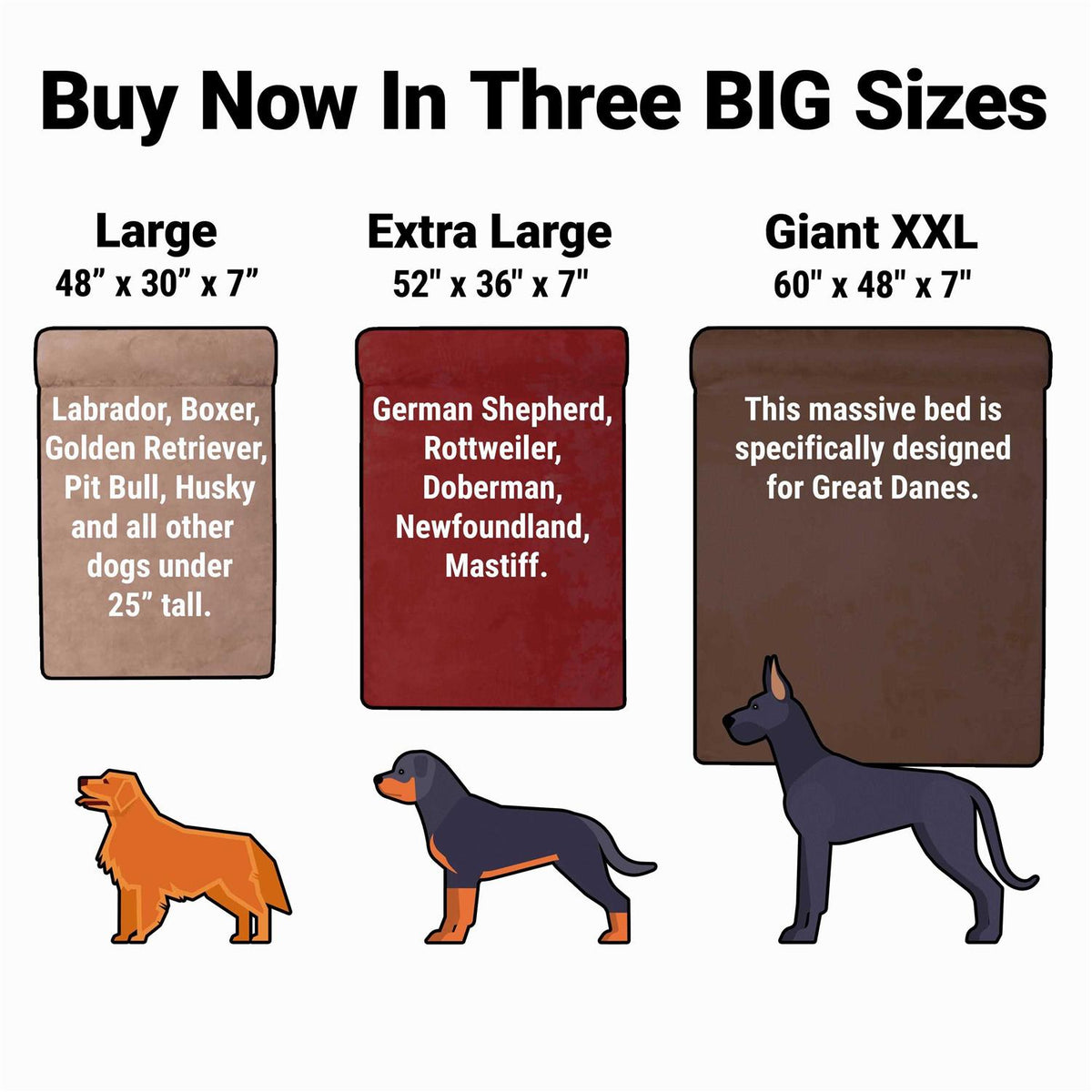 Orthopedic Dog Bed Q100