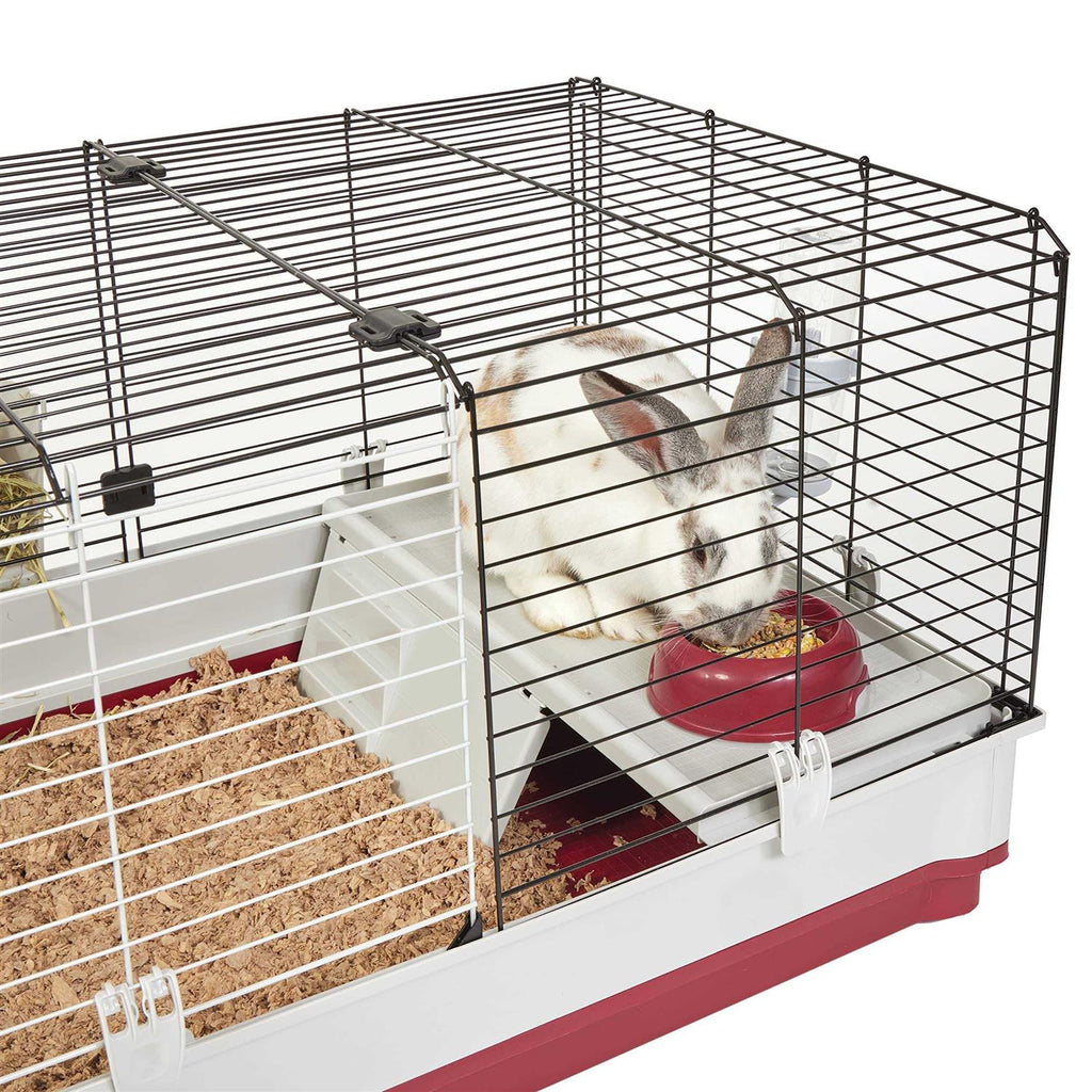 Rabbit Home A929667