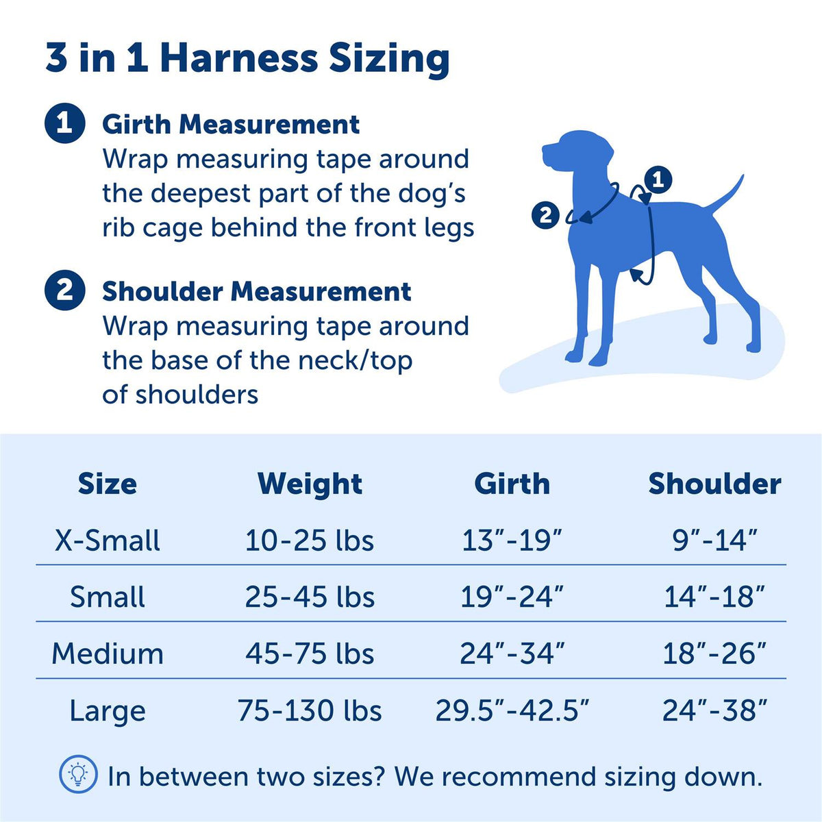 3 in 1 Harness W40011