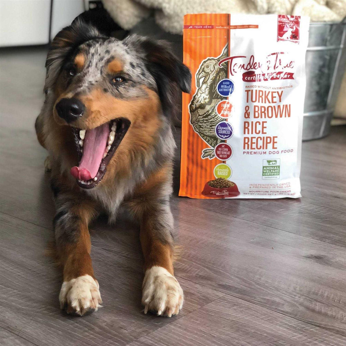 Turkey and Brown Rice Recipe Dry Dog Food I2326
