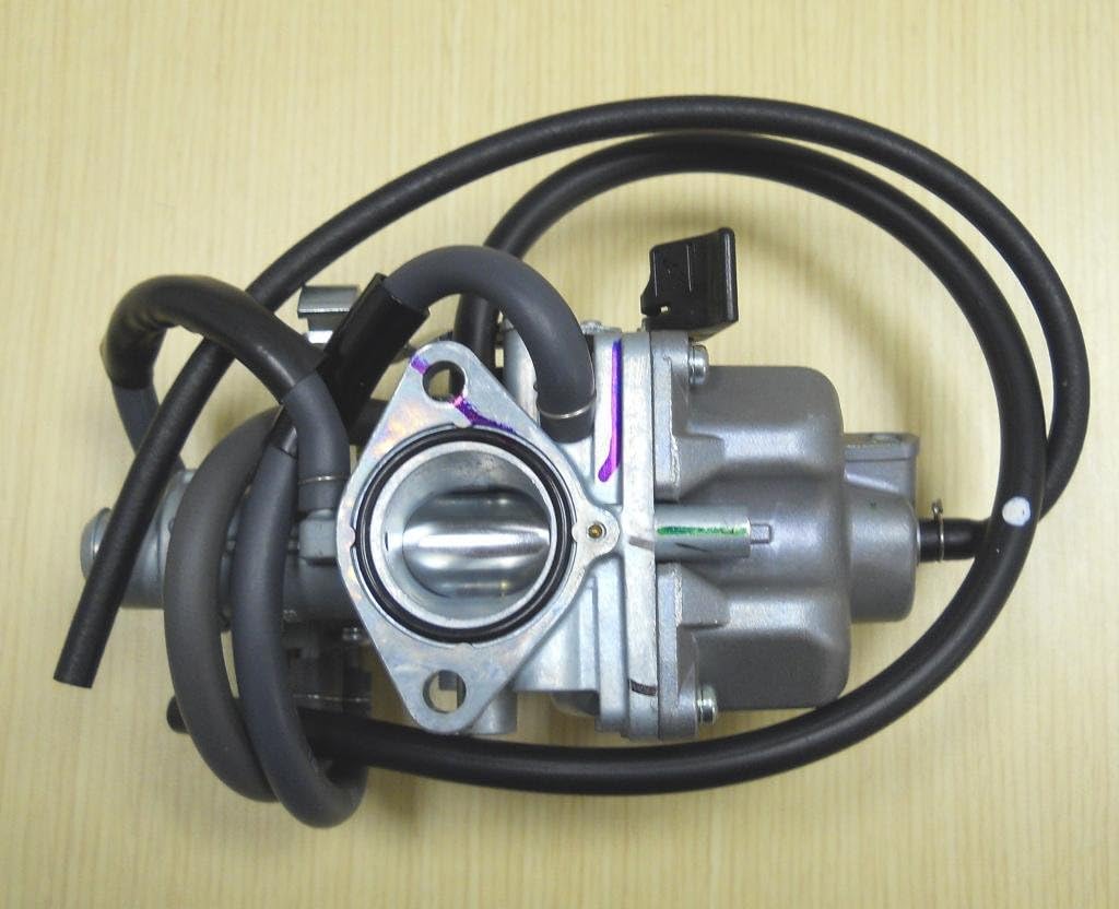 2007-2014 Honda TRX 250 ATV Carburetor H23852