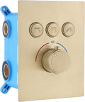 Brass Concealed Thermostatic Shower Mixer Valve S1959