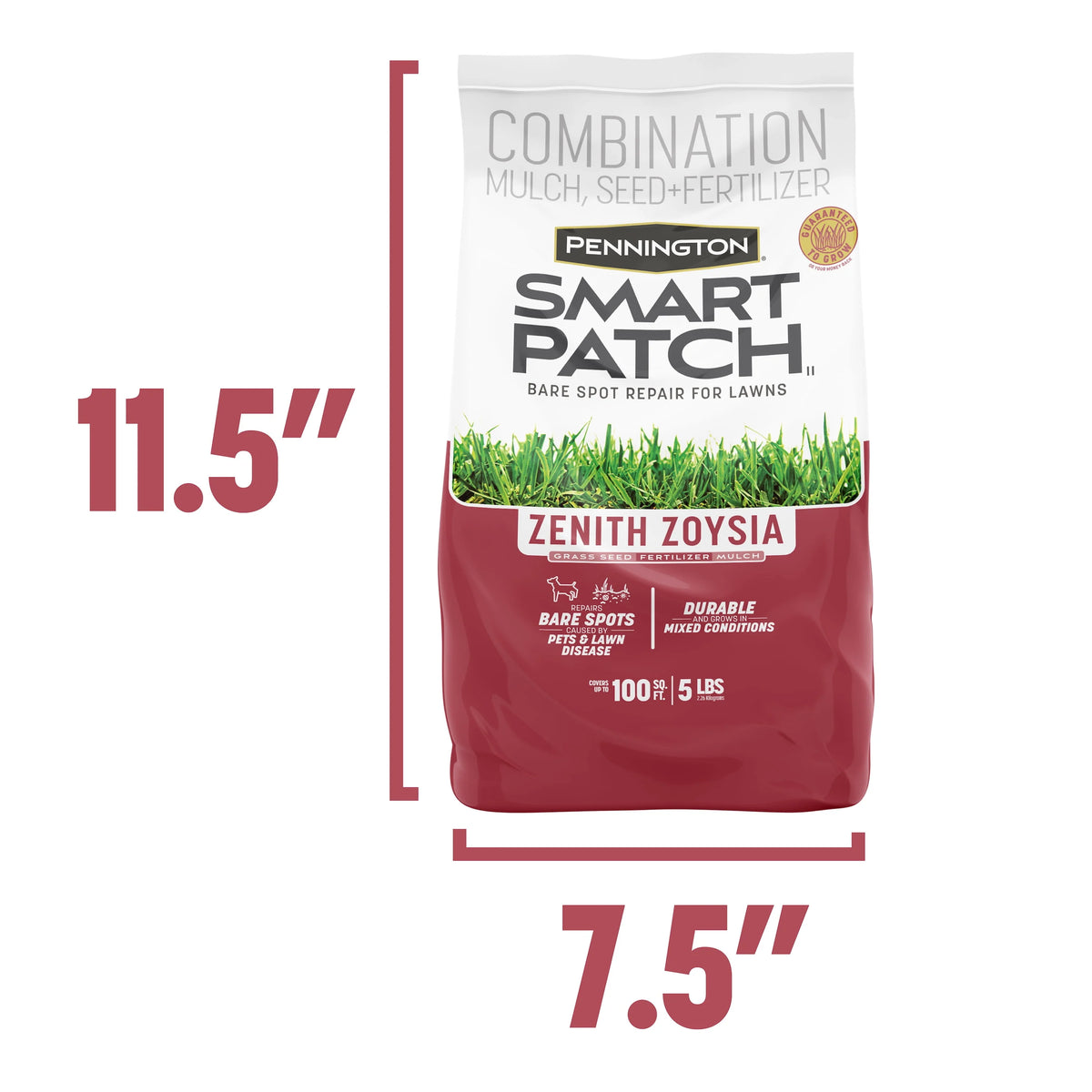 Zoysia Grass Seed 5 lb P7727