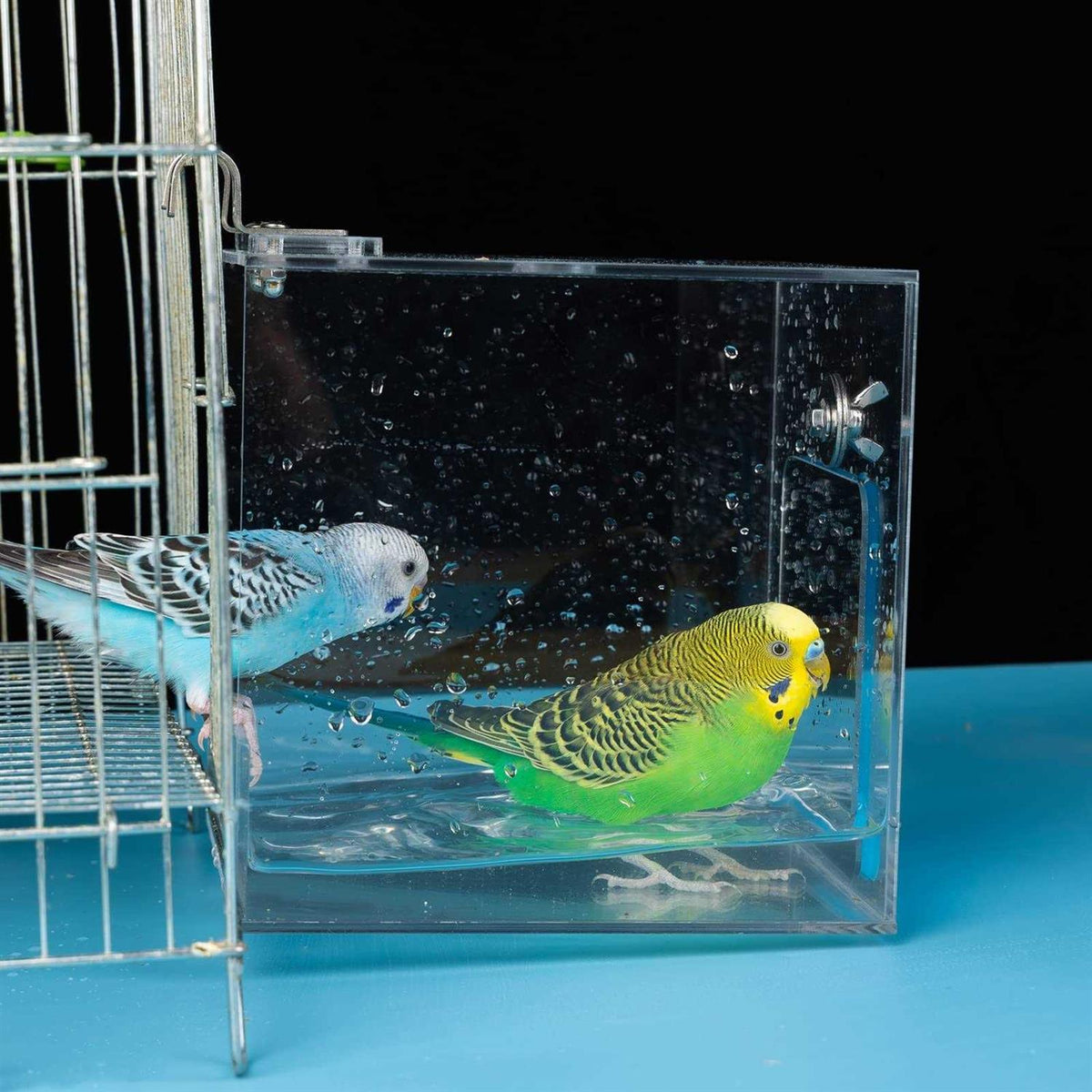 Large Hanging Bird Bath Cage Accessories A98471