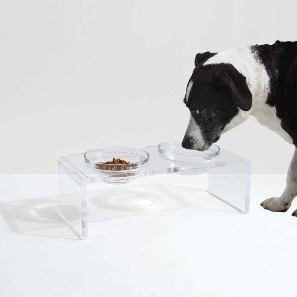 Clear Elevated Glass Bowl Feeder J5130
