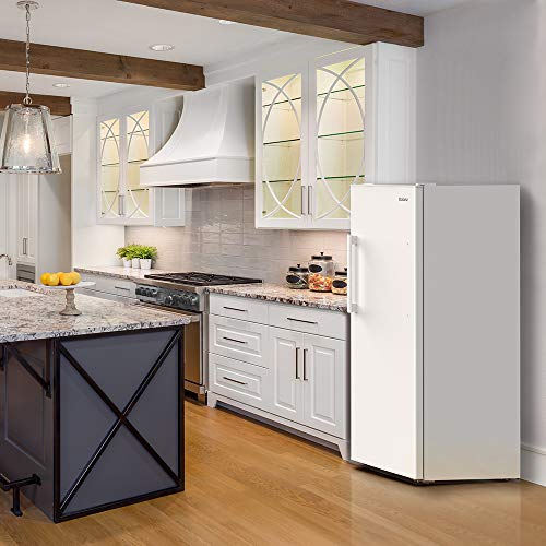 Convertible Freezer/Fridge C301