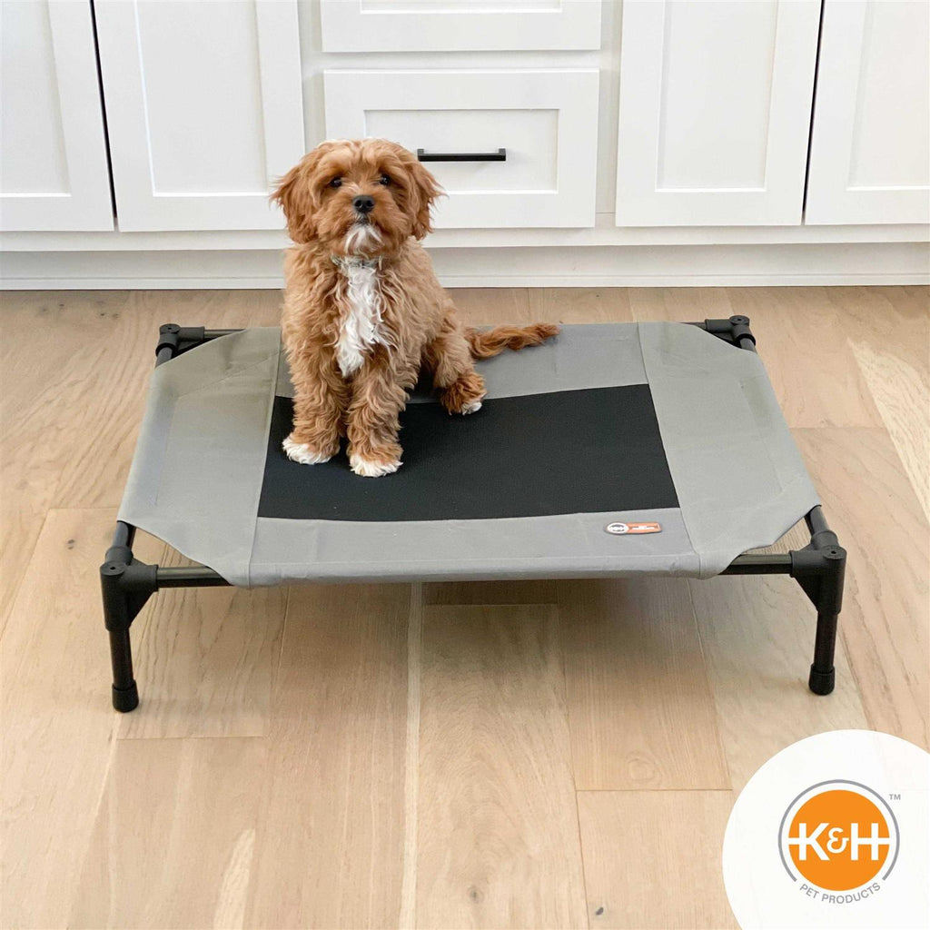 Realtree Pet Cot X65298