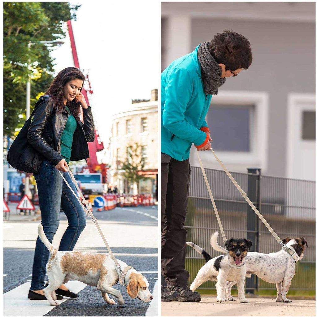 Waterproof Dog Leash with 2 Hooks O403834