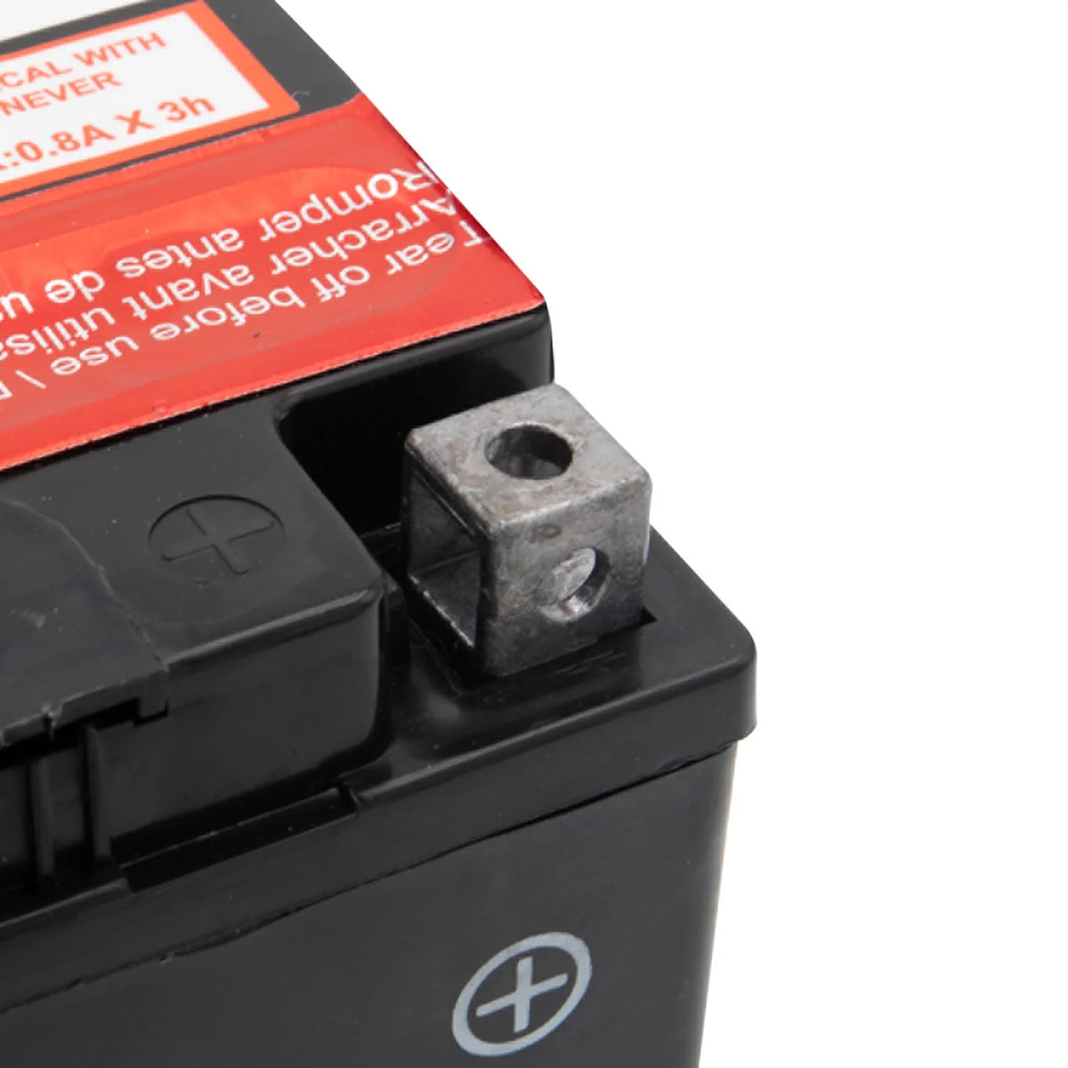 AGM PowerSport Battery Group Size 20LBS 12 Volt 270 CCA B75970