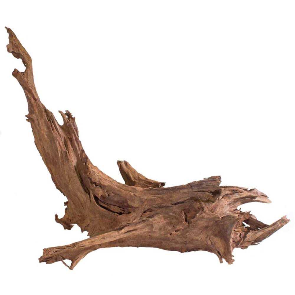 Driftwood Pet Supplies Q973252