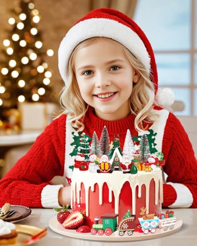 19 Piece Christmas Cake Decorations Set L30791