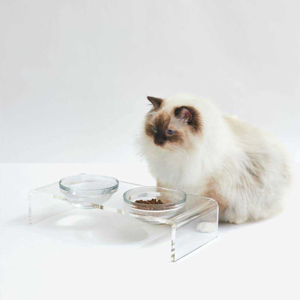 Clear Elevated Glass Bowl Feeder J5130