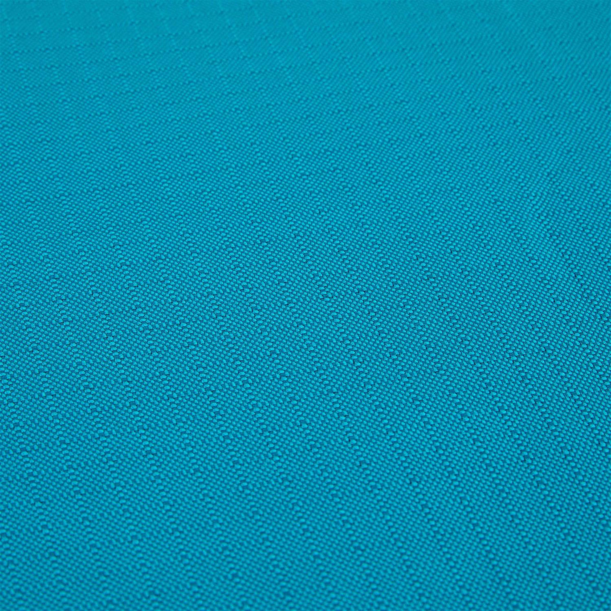 Teal Dog Mat F788706
