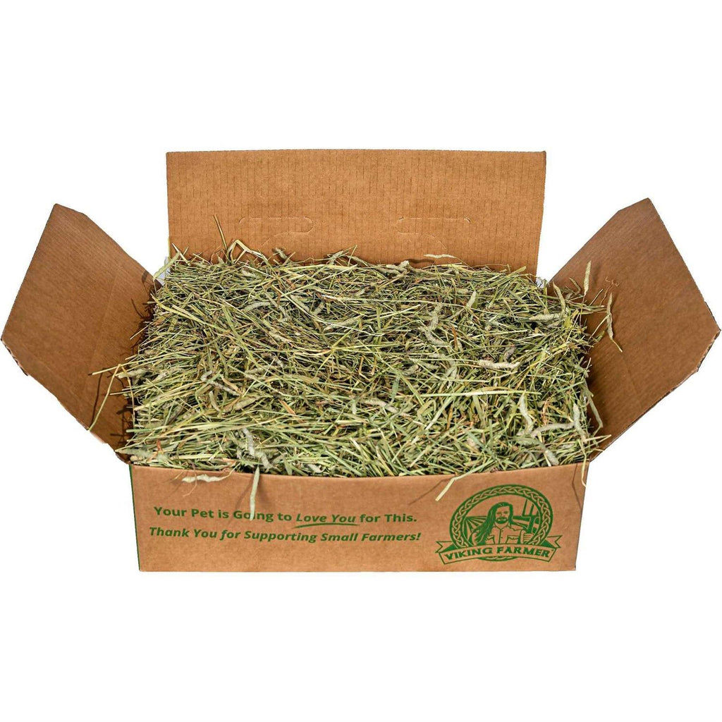 Timothy Hay Pet Supplies Z43109