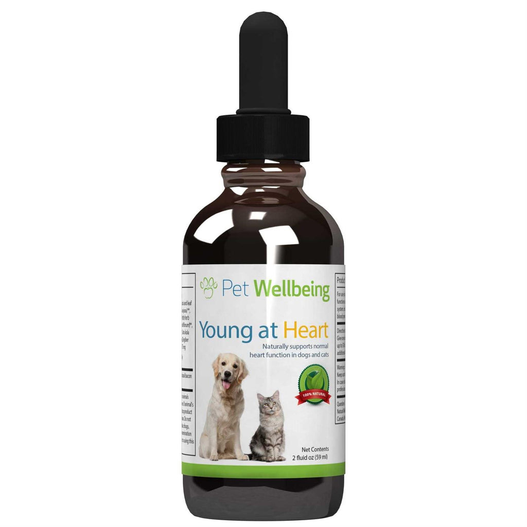 Young at Heart for Cats Q21375