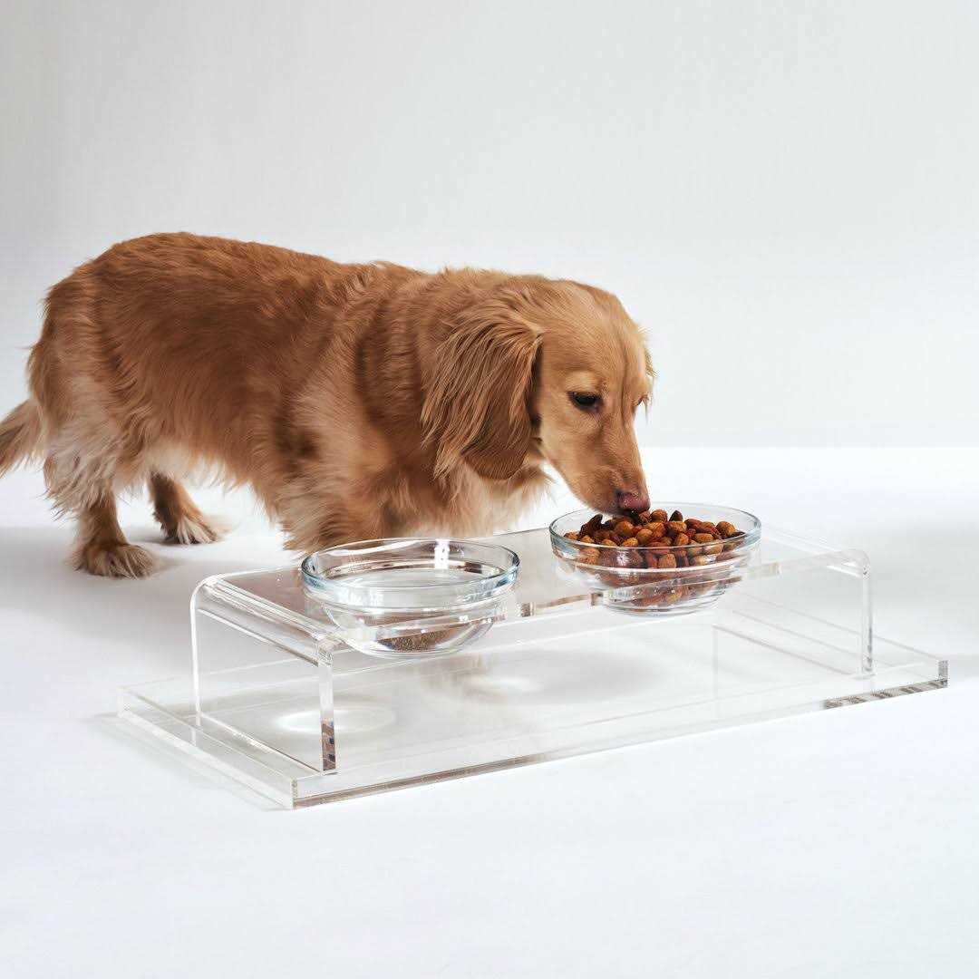 Clear Elevated Glass Bowl Feeder J5130