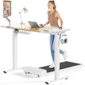 Electric Standing Desk 48 x 24 Inch with Cable Management A5341