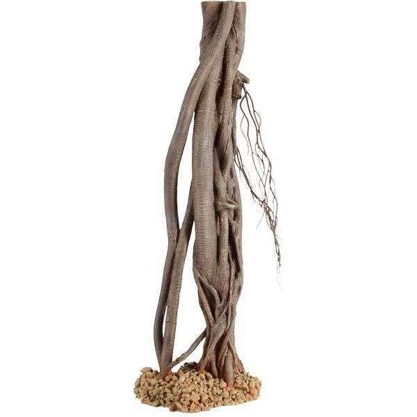 Mangrove Root V5437