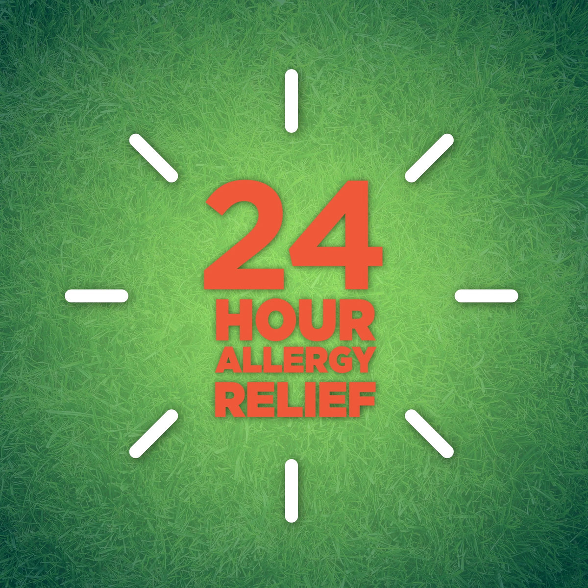 24 Hour Allergy Cetirizine Hydrochloride Tablets 10 mg 45 Count R7870