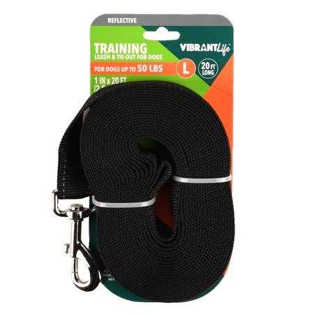Polyester Slip Lead Dog Leash M8424