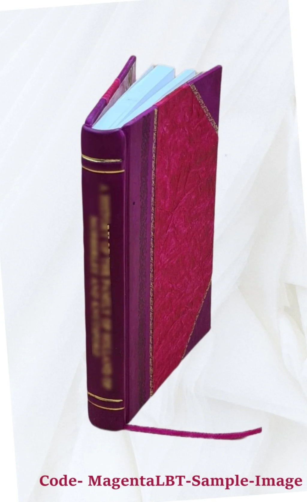 Brief of Appellant Leather Bound N120862