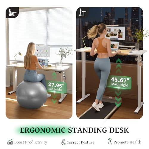 Electric Standing Desk 48 x 24 Inch with Cable Management A5341