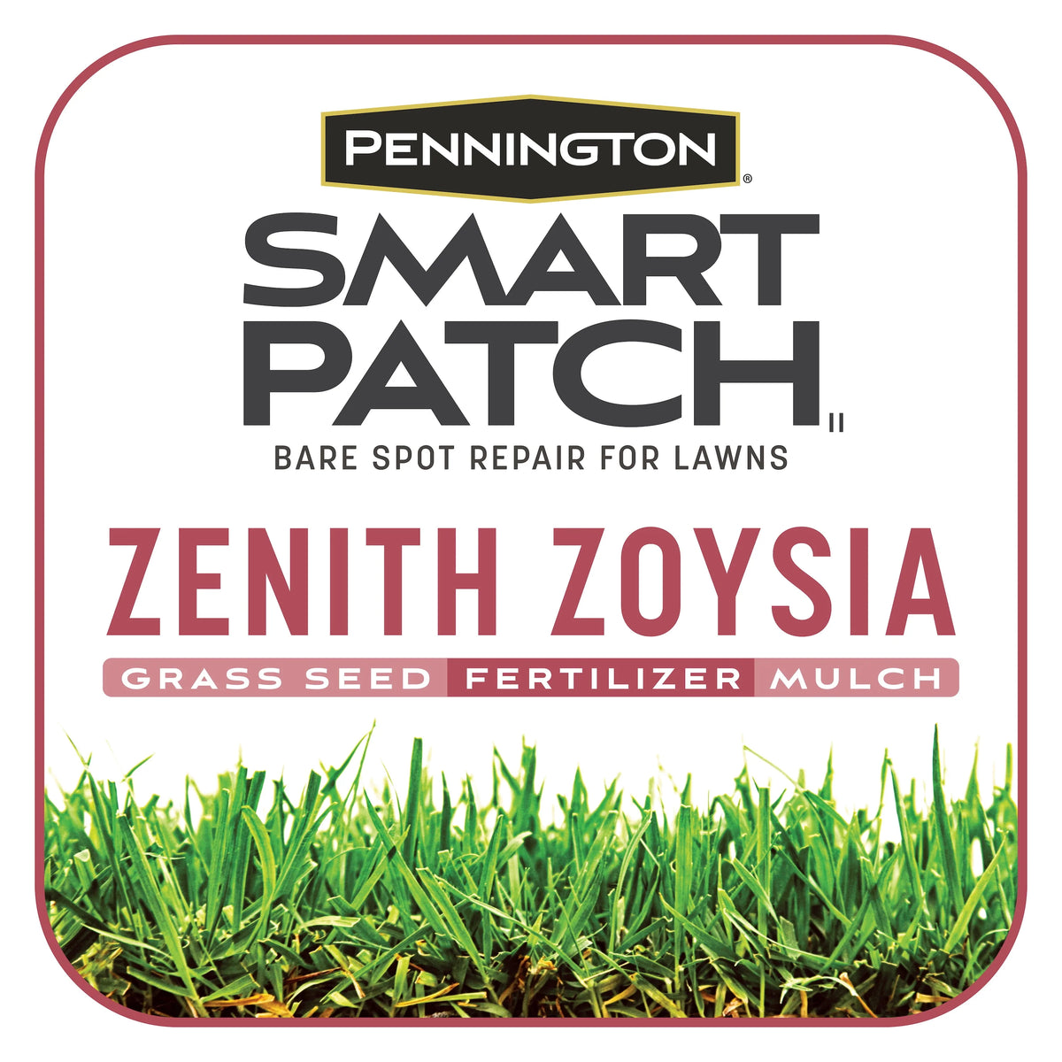 Zoysia Grass Seed 5 lb P7727