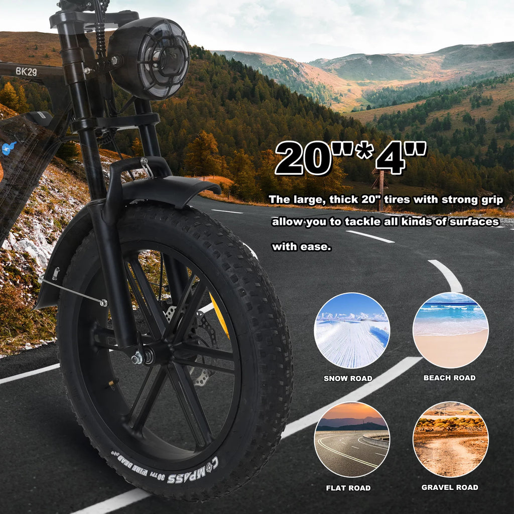 750W Electric Bike 20X4.0 Fat Tire 48V 15Ah Battery L175515