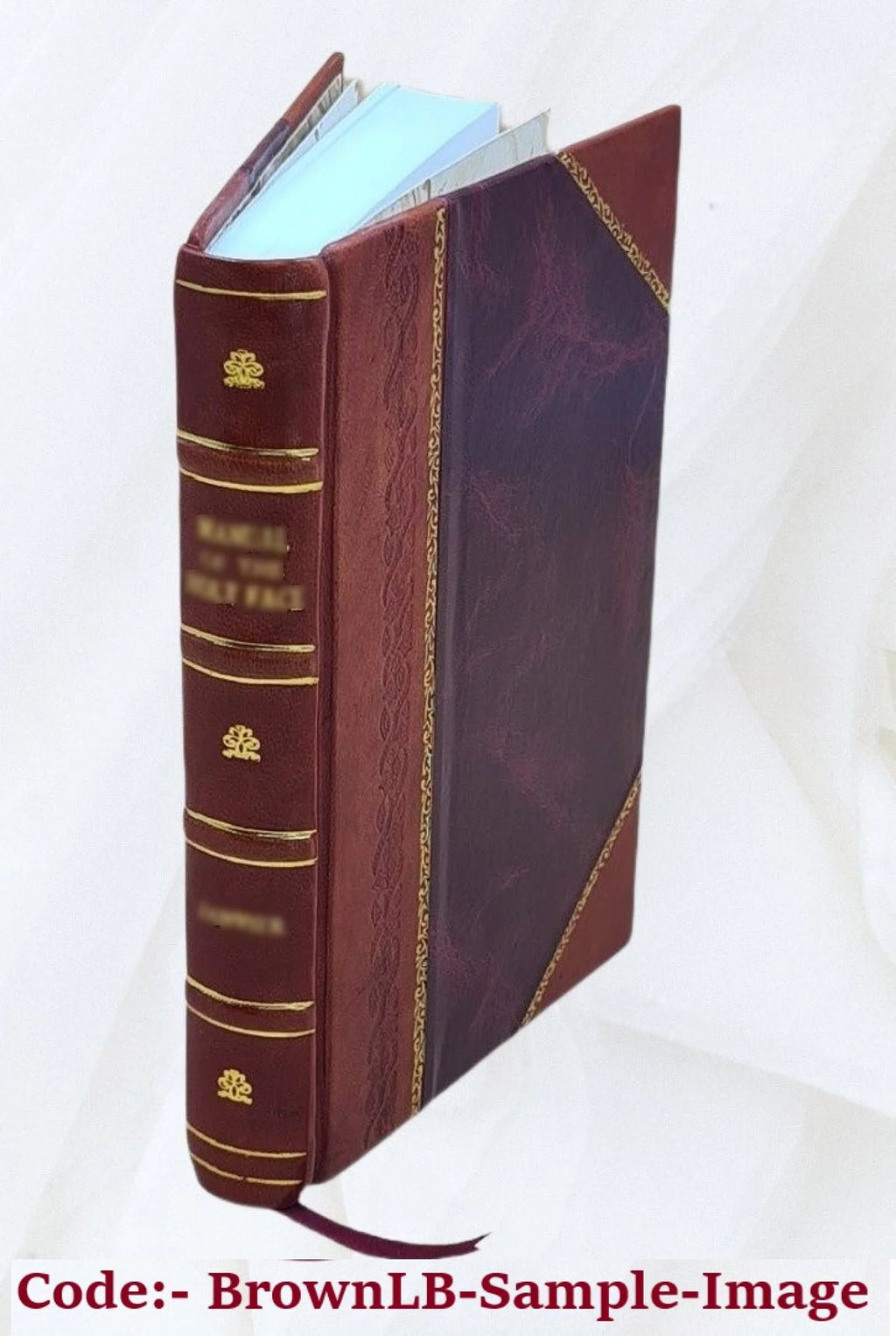 Will-power 1902 Leather Bound U1959