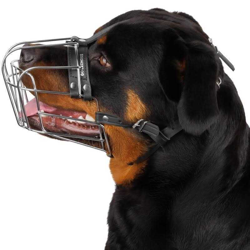 Dog Muzzle Wire Basket Adjustable Leather Straps H649315