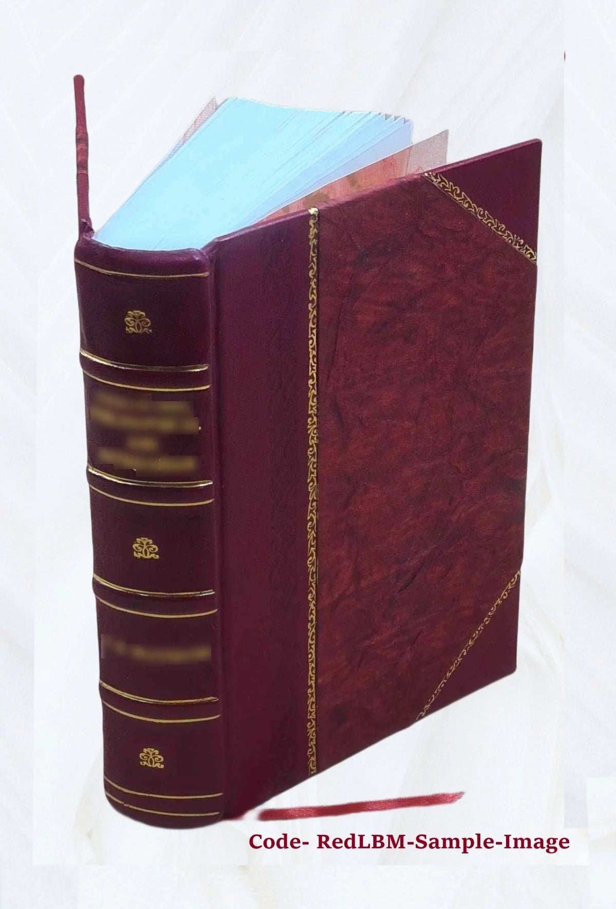 Leather Bound Book E5434