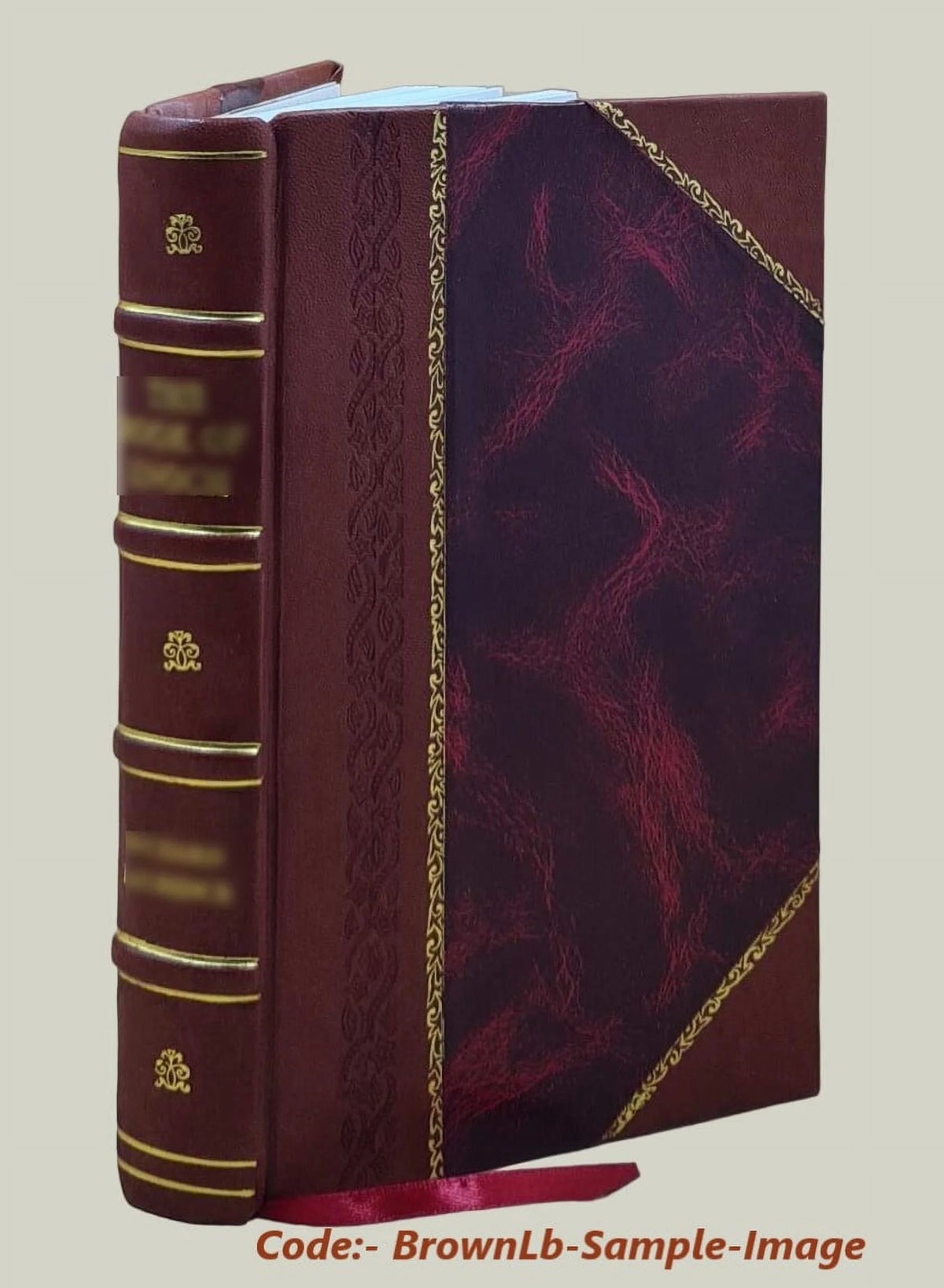 Domestic Life in England Leather Bound S10588