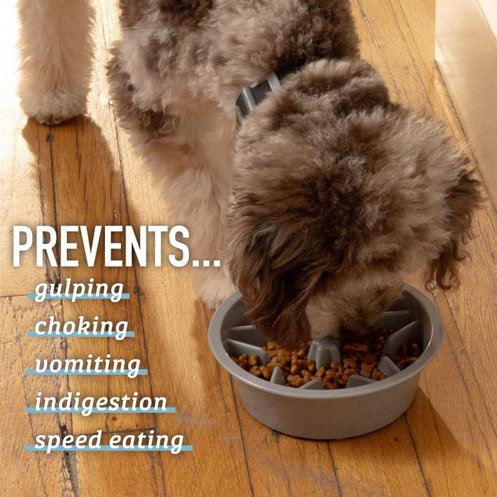 Slow Feeder Dog Bowl with Feeder Holes S438949