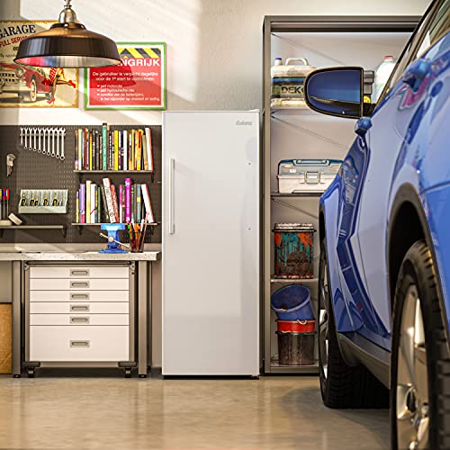 Convertible Freezer/Fridge C301