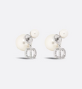 Earrings Z424327