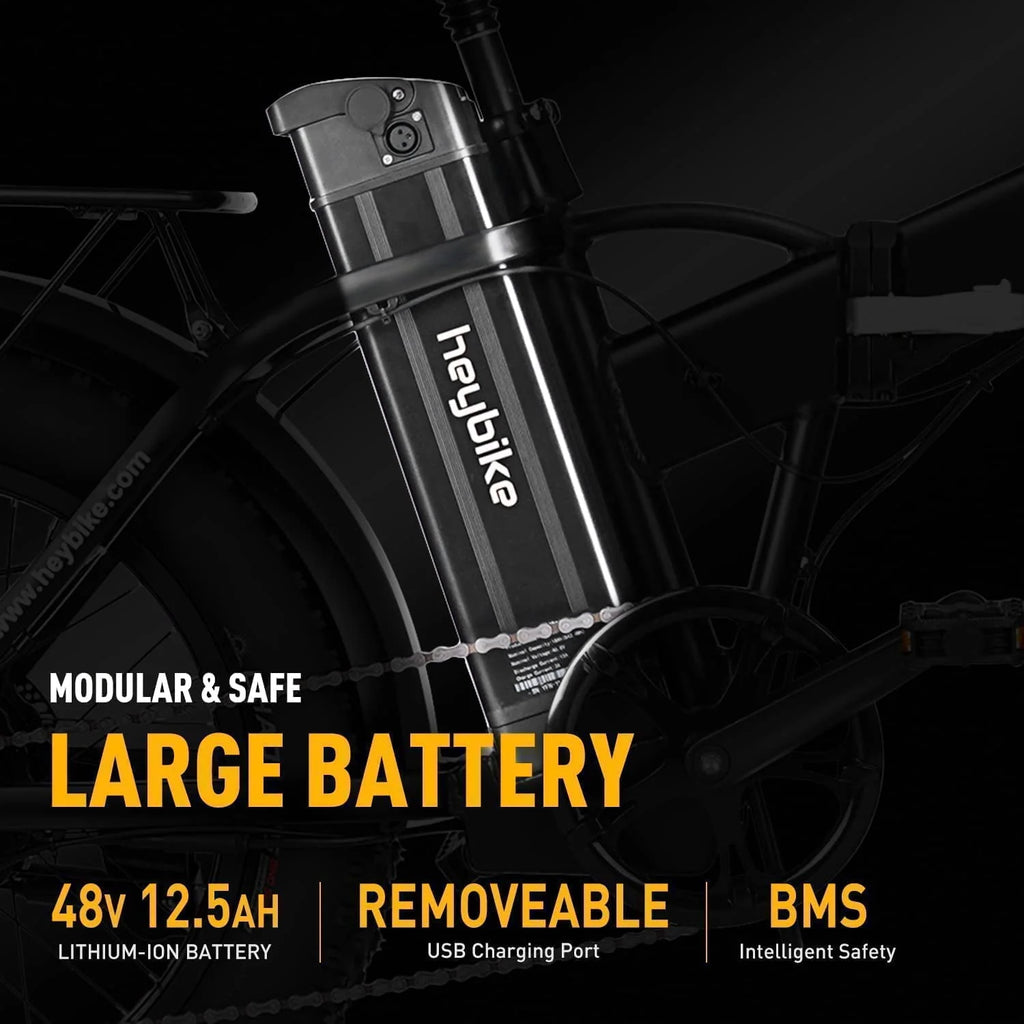 Foldable 20 Fat Tire Electric Bike with 500W Motor X90018