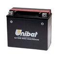 Maintenance-Free Battery with Acid D2411