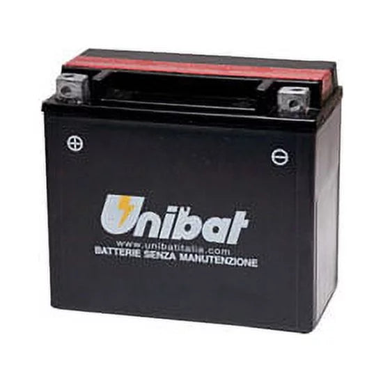 Maintenance-Free Battery with Acid D2411